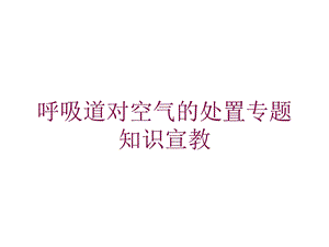 呼吸道对空气的处置专题知识宣教培训课件.ppt