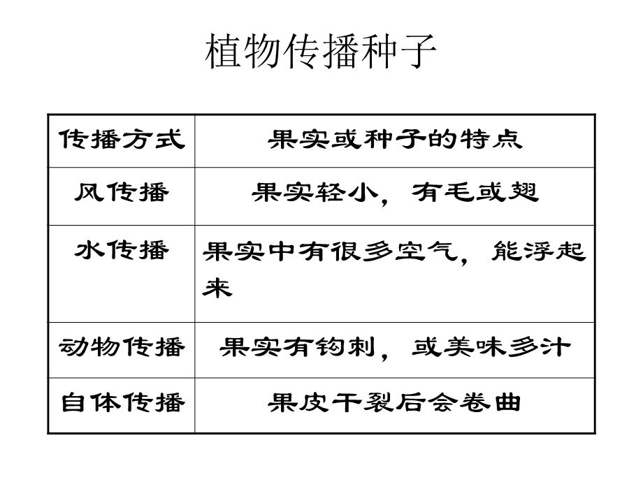 四年级下把种子传播到远处教科版(共38张)课件.ppt_第3页