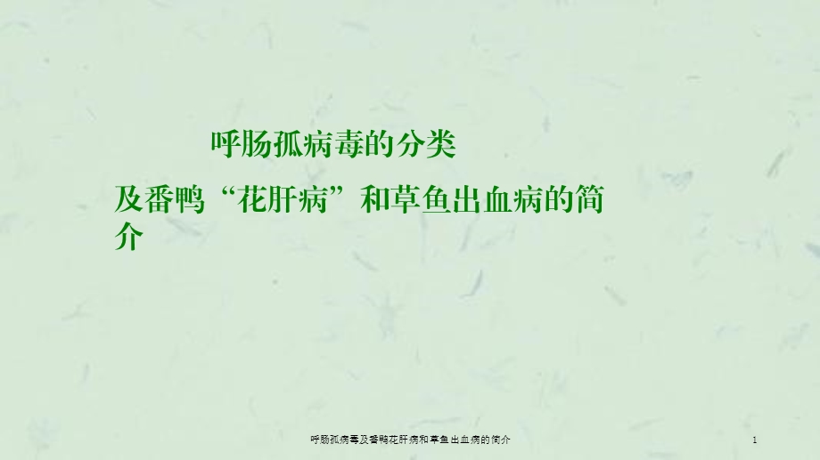 呼肠孤病毒及番鸭花肝病和草鱼出血病的简介课件.ppt_第1页