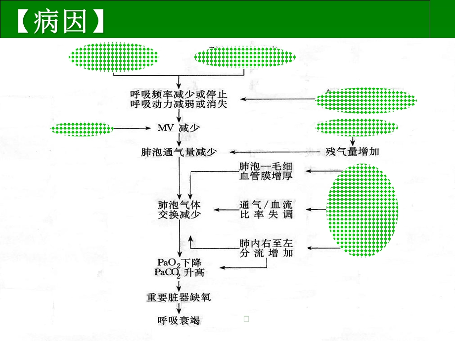 呼吸衰竭 Microsoft PowerPoint 演示文稿课件.ppt_第3页