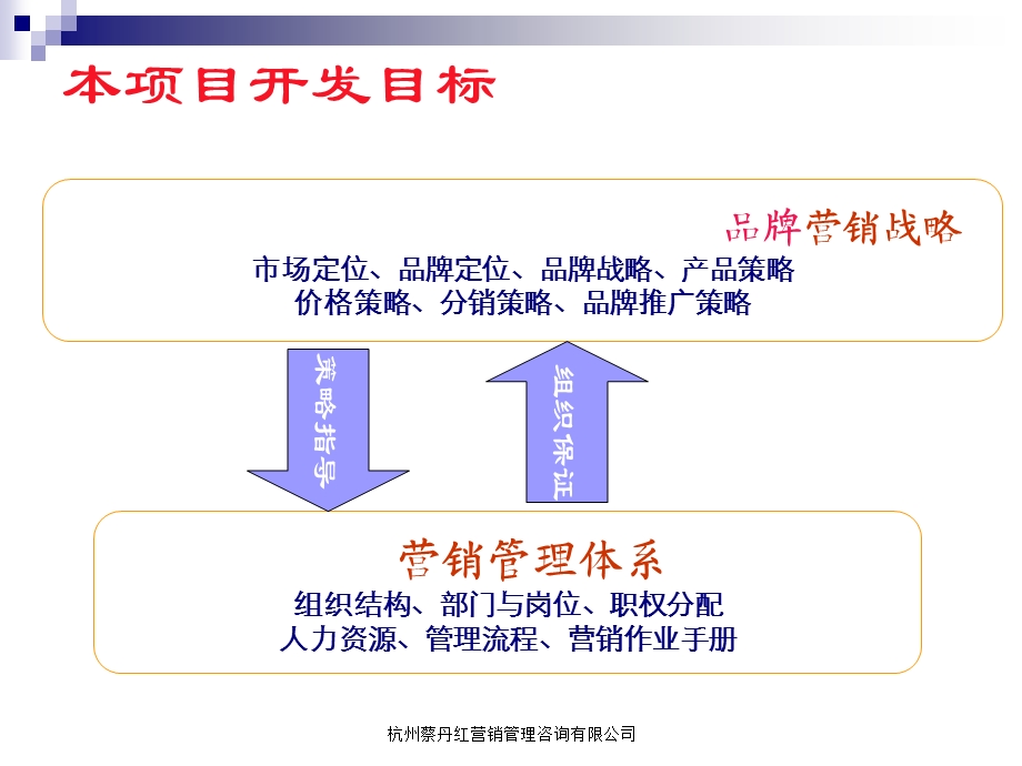 品牌营销战略及管理体系项目开发方案.ppt_第2页