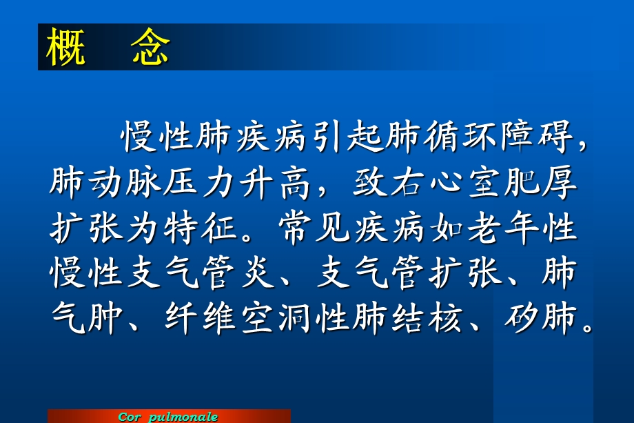 基础医学北大病理学课件慢性肺源性心脏病.ppt_第2页