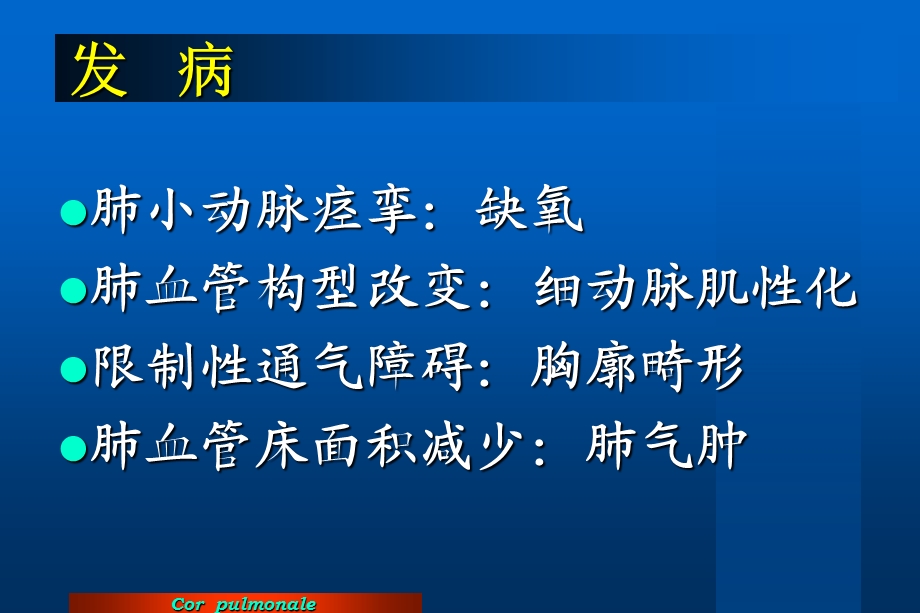 基础医学北大病理学课件慢性肺源性心脏病.ppt_第3页