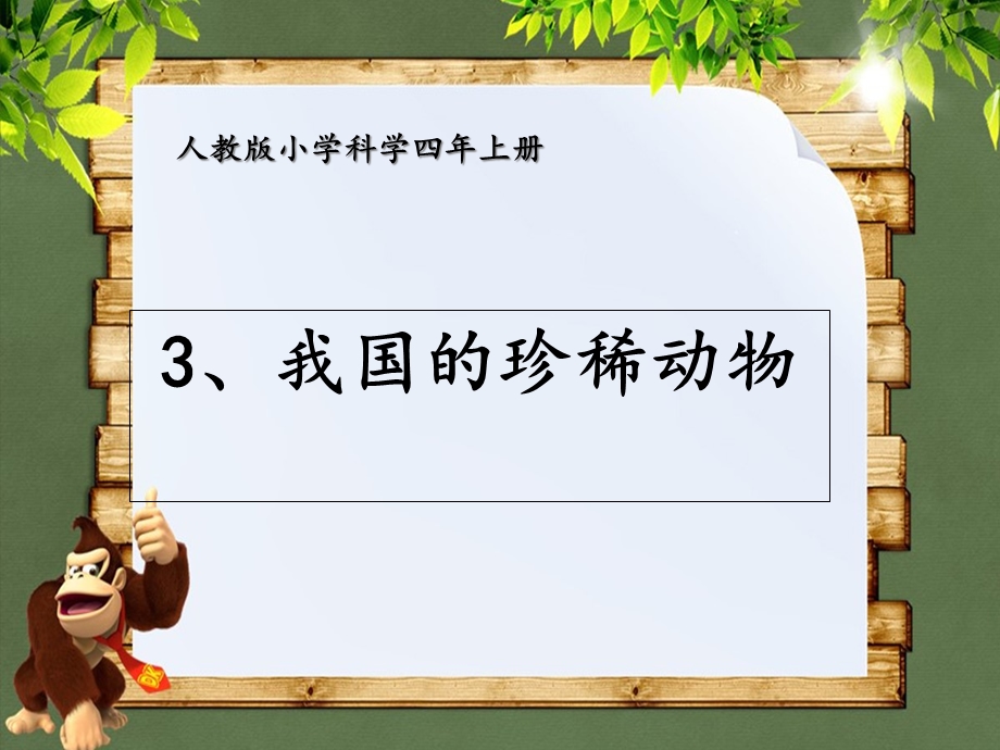 四年级上册科学13我国的珍稀动物教学课件.ppt_第1页