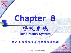 呼吸系统(NXPowerLite)课件.ppt