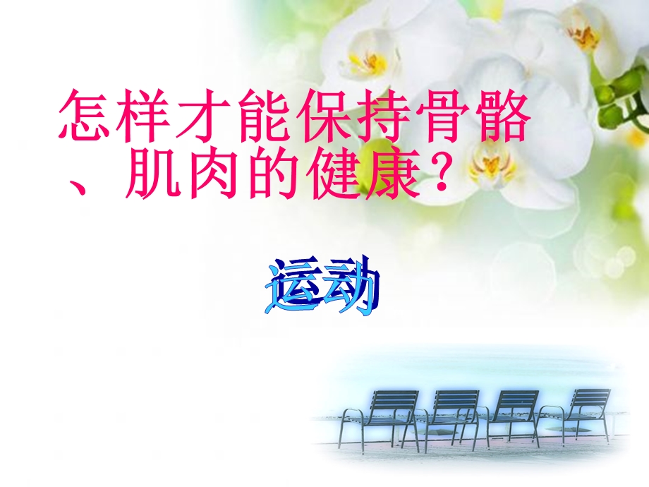 四年级下册科学课件骨骼、肌肉的保健 苏教版.ppt_第3页
