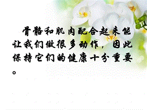 四年级下册科学课件骨骼、肌肉的保健 苏教版.ppt