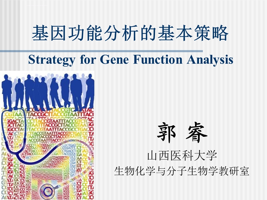 基因功能分析的基本策略硕士ppt课件.ppt_第1页