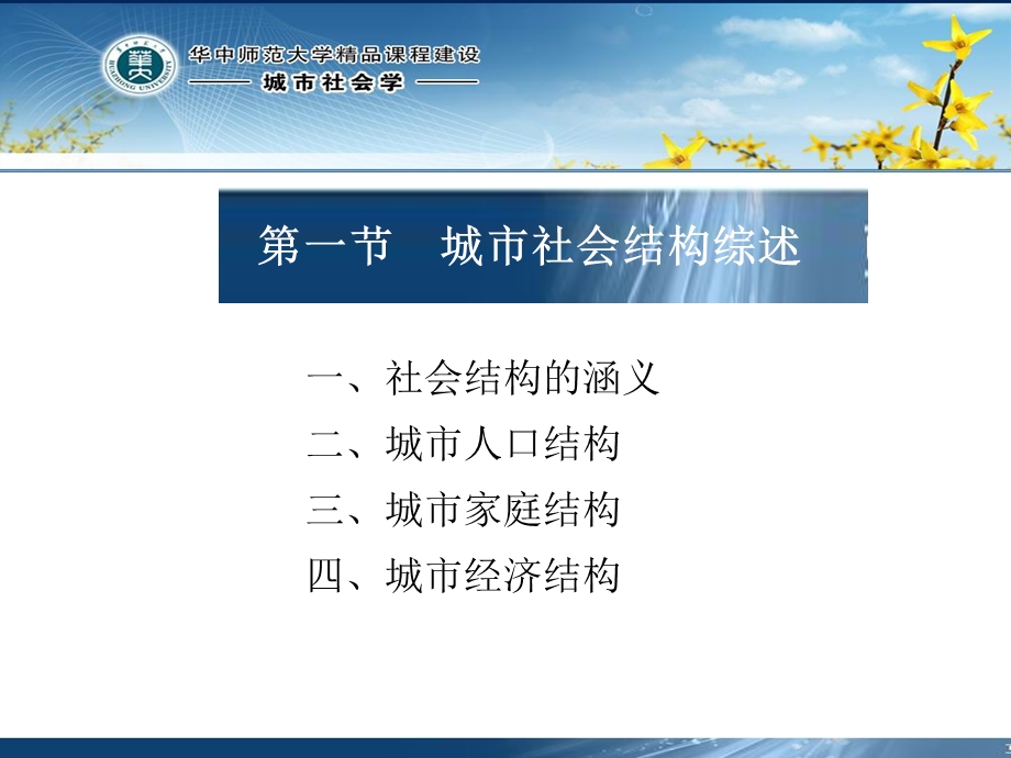 城市社会学第六章 城市社会结构ppt课件.ppt_第2页