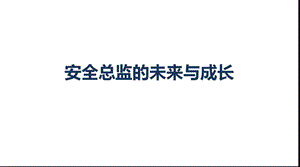 安全总监的未来与成长ppt课件.pptx