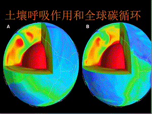 土壤呼吸作用和全球碳循环课件.ppt