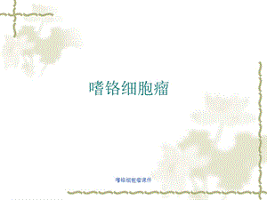 嗜铬细胞瘤课件.ppt