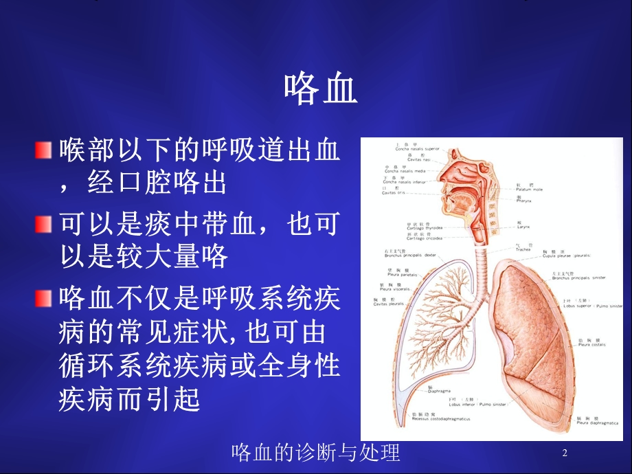 咯血的诊断与处理培训课件.ppt_第2页