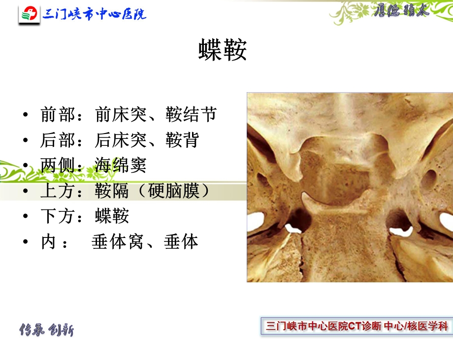 垂体解剖及垂体瘤ppt课件.ppt_第1页