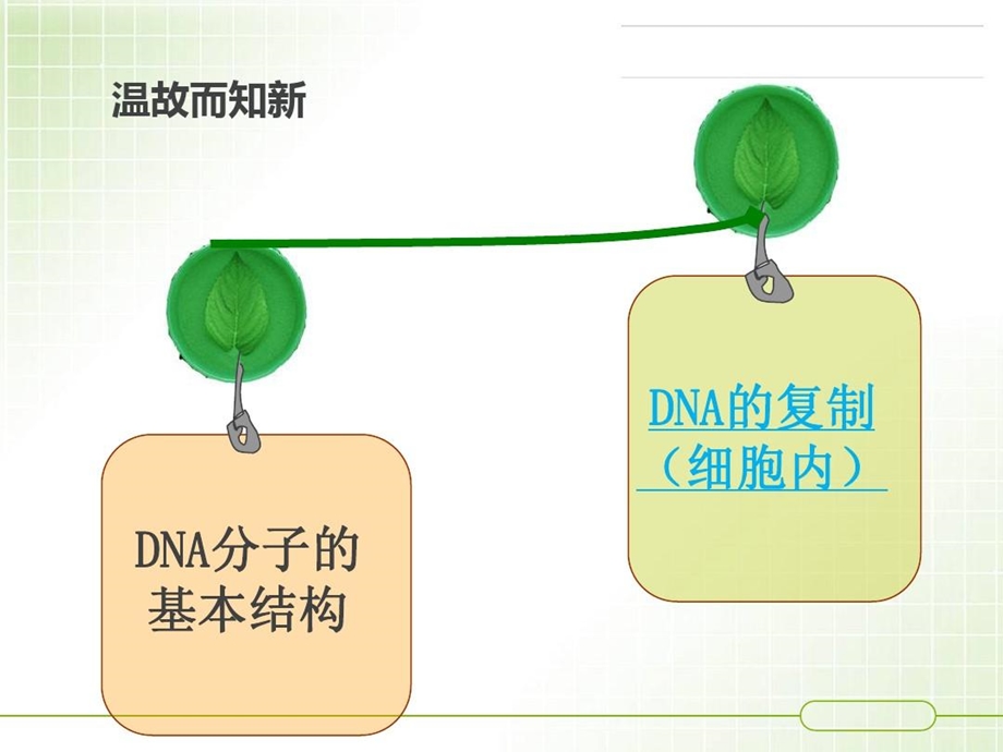 多聚酶链式反应ppt课件.ppt_第3页