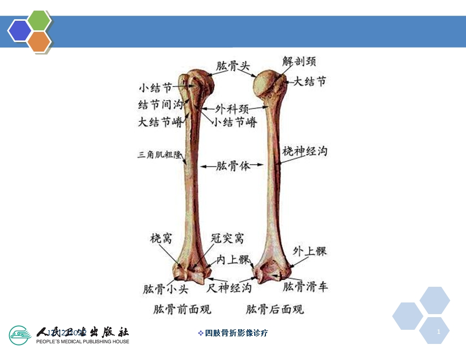 四肢骨折影像诊疗课件.ppt_第1页