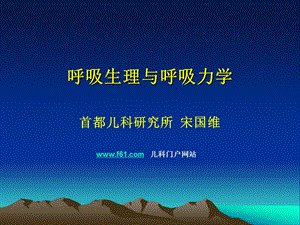 呼吸生理与呼吸力学ppt课件.ppt