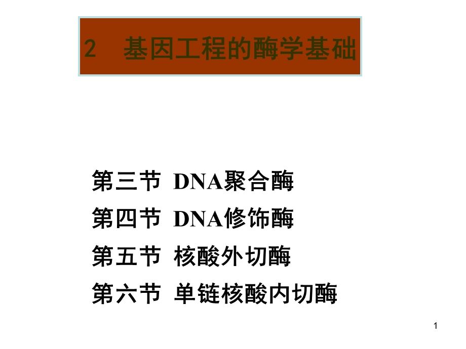 基因工程的酶学基础课件.ppt_第1页