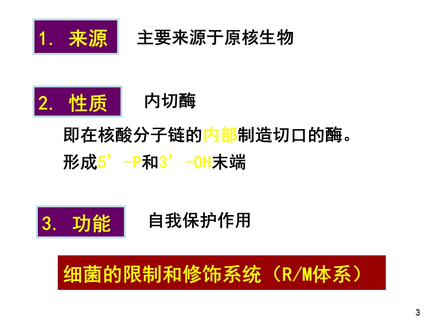 基因工程的酶学基础课件.ppt_第3页