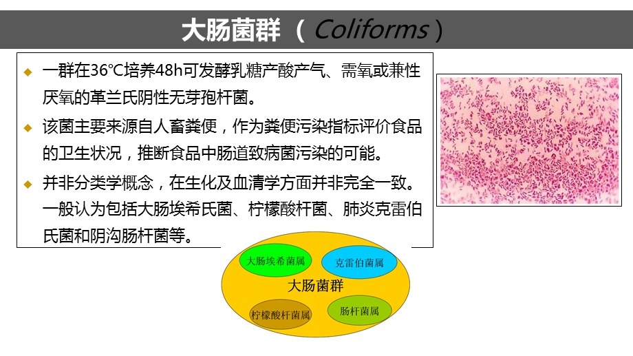 大肠菌群检测(MPN法)ppt课件.ppt_第2页