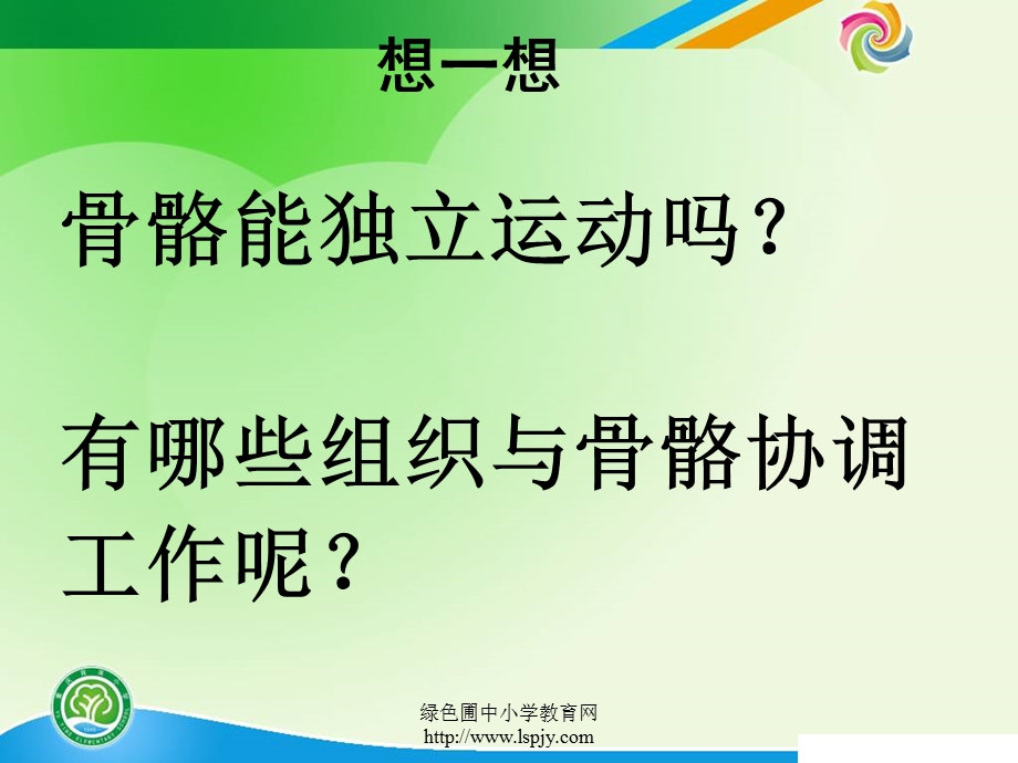 四年级上册科学第四单元骨骼、关节和肌肉ppt课件.ppt_第3页