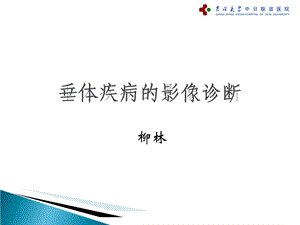 垂体疾病的影像诊断ppt课件.ppt