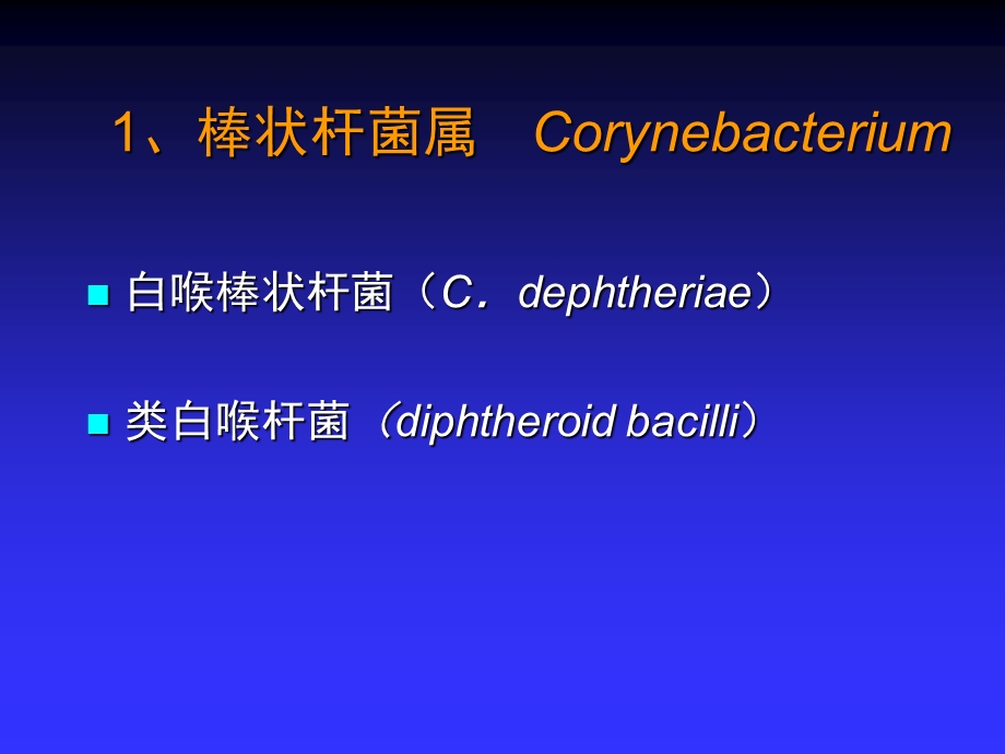 呼吸道传播的病原微生物其他细菌课件.ppt_第3页