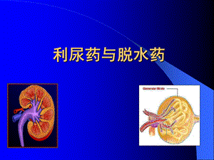 利尿药与脱水药ppt课件.ppt