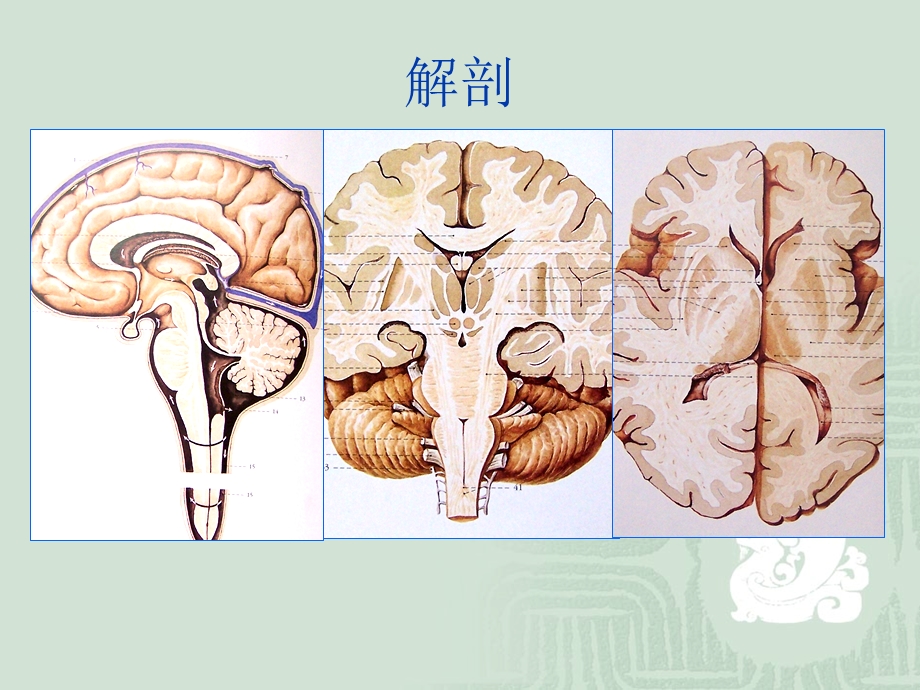 小儿磁共振正常表现课件.ppt_第2页