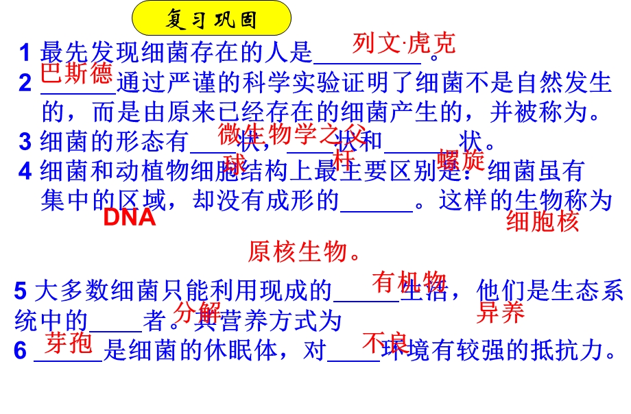 人教版八年级生物《真菌》精品中学课件.ppt_第2页