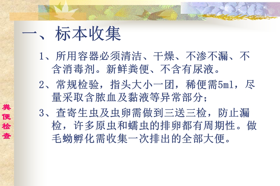 实验诊断学粪便检查（09级）课件.ppt_第2页