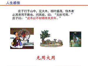 儒道思想比较课件.ppt