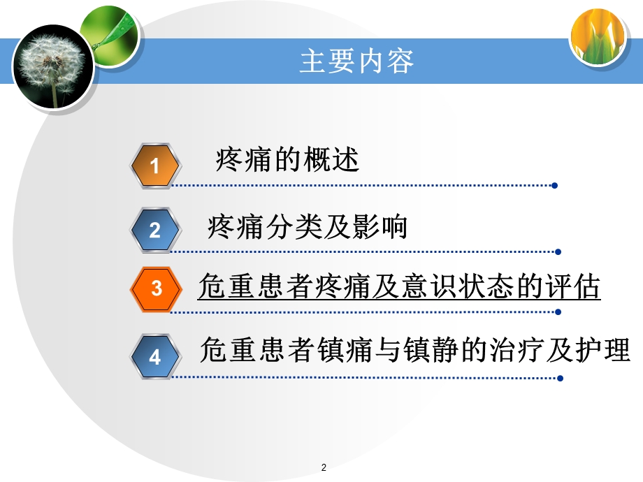 危重患者的疼痛护理课件.ppt_第2页