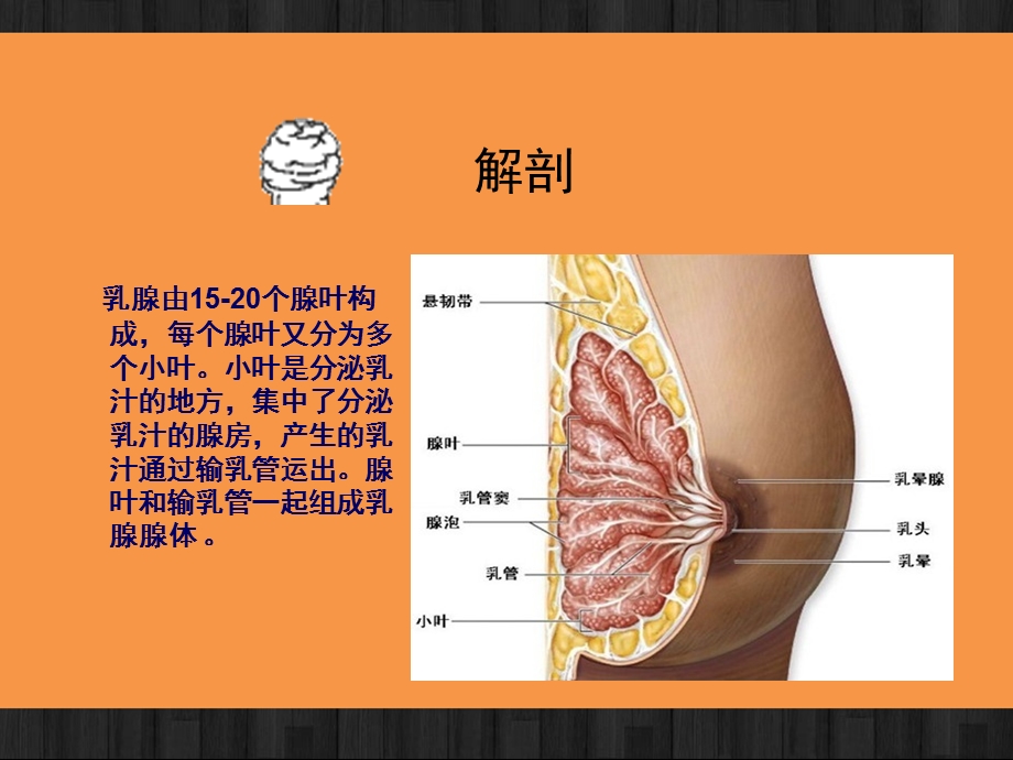 乳腺癌改良根治术的护理配合课件.ppt_第3页