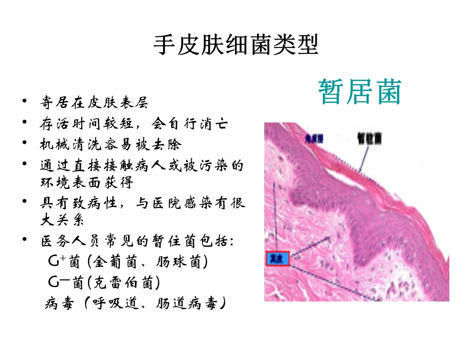 医务人员手卫生课件.ppt_第3页