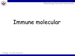 免疫分子指的是参与机体免疫应答过程的的各种相关分课件.ppt