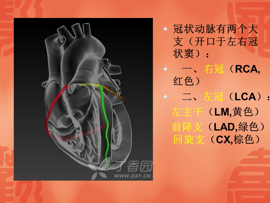 冠脉 盖殿秀课件.ppt_第3页