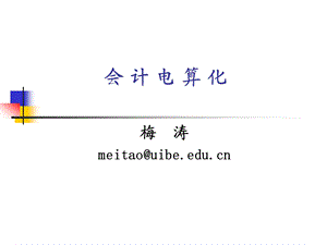 会计电算化ppt课件.ppt