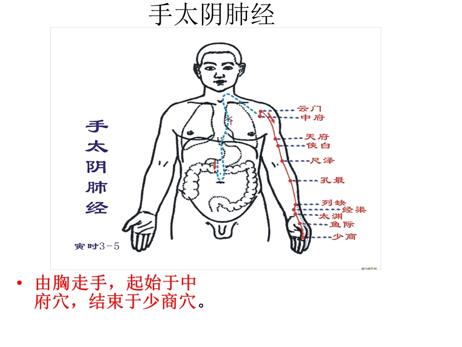 人体十二条经络高清课件.ppt_第2页