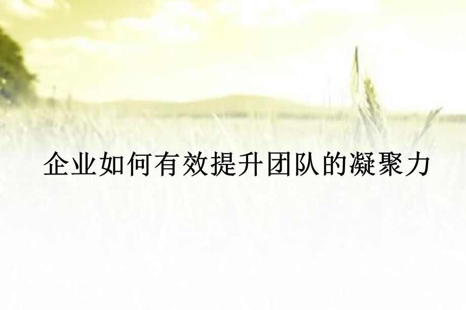 企业如何有效提升团队的凝聚力课件.ppt_第1页