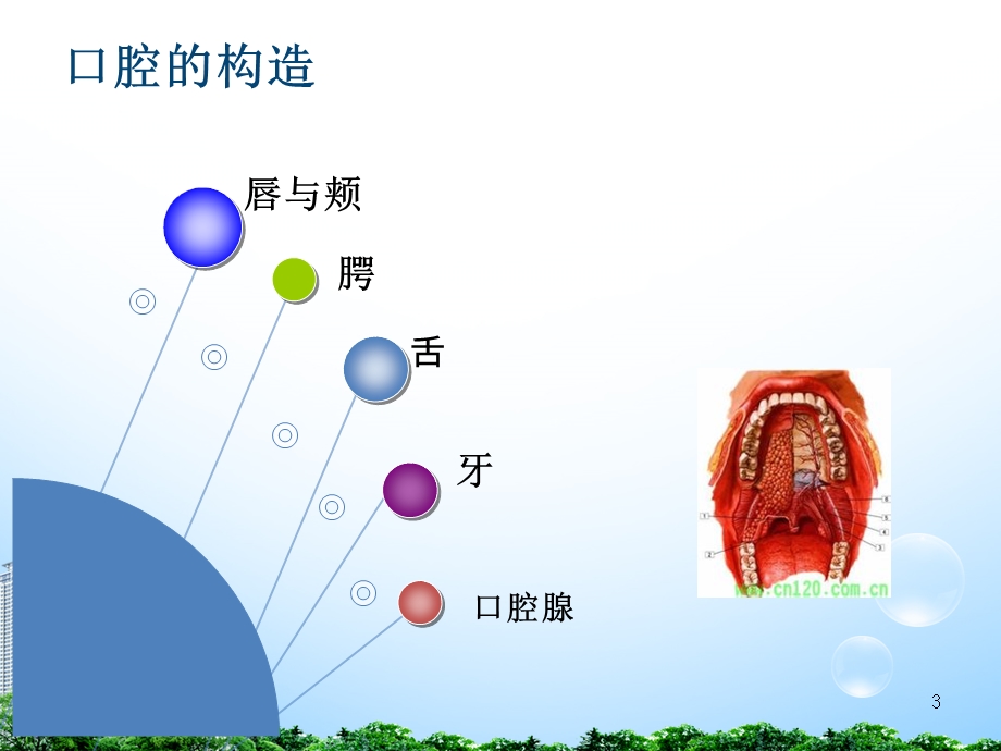 协助进食及口腔护理(外六科)(10年)课件.ppt_第3页