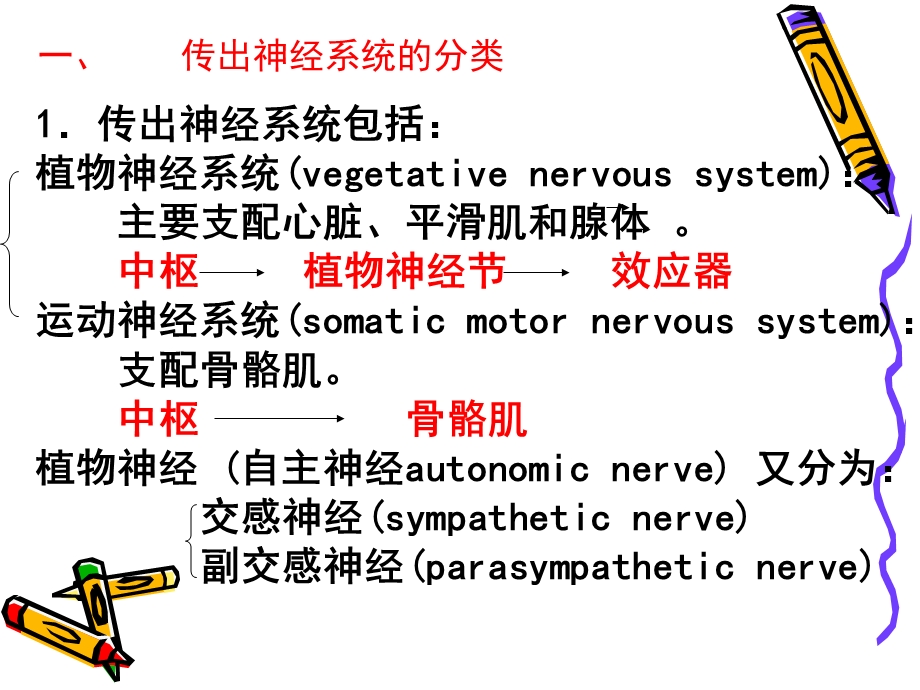 传出神经系统药物课件.ppt_第3页