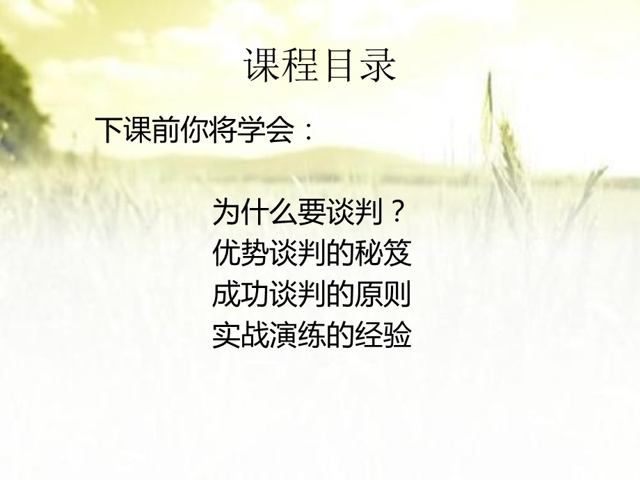 优势谈判技巧课件.pptx_第2页