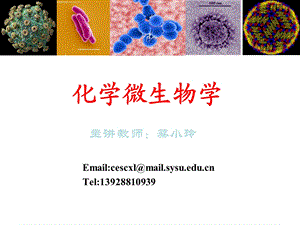 化学微生物学ppt课件第1章.ppt