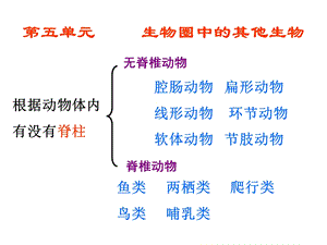 八年级生物上册总复习ppt课件.ppt