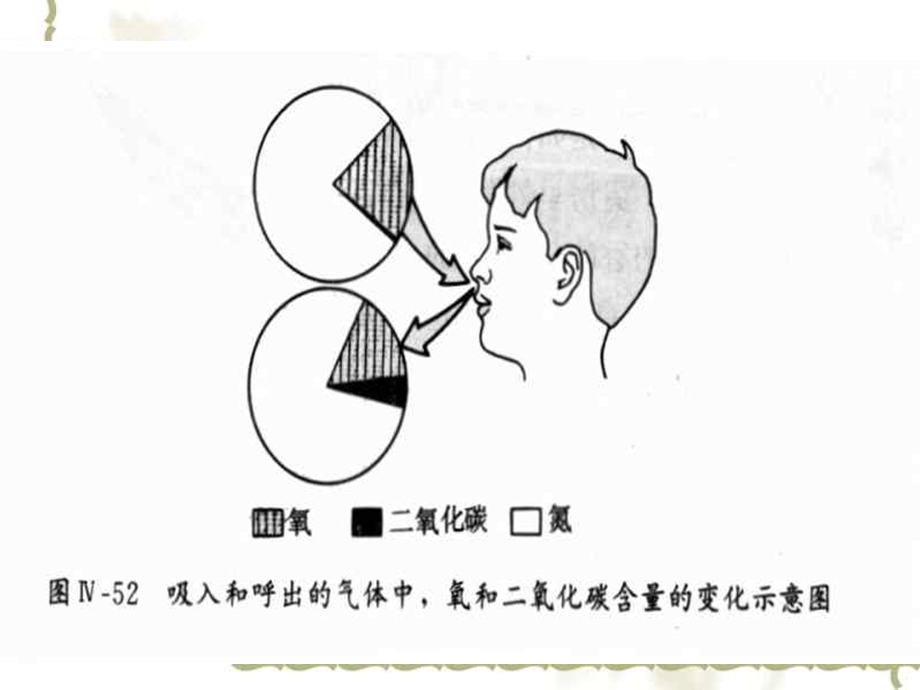 初中生物科学八年级《人体内的气体交换》多媒体教学ppt课件.ppt_第2页