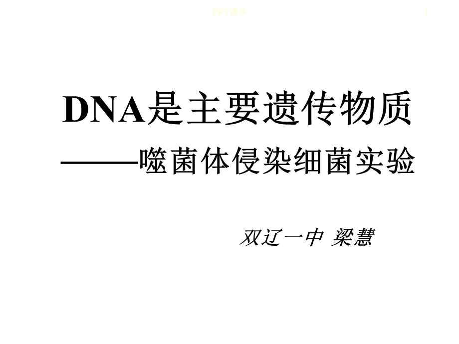 噬菌体侵染细菌过程课件.ppt_第1页