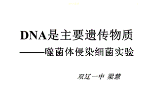 噬菌体侵染细菌过程课件.ppt