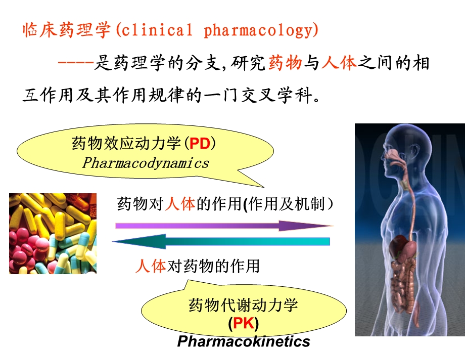 临床药理学总论课件.ppt_第2页