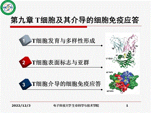 免疫学精选ppt课件09T细胞及其介导的细胞免疫应答.ppt